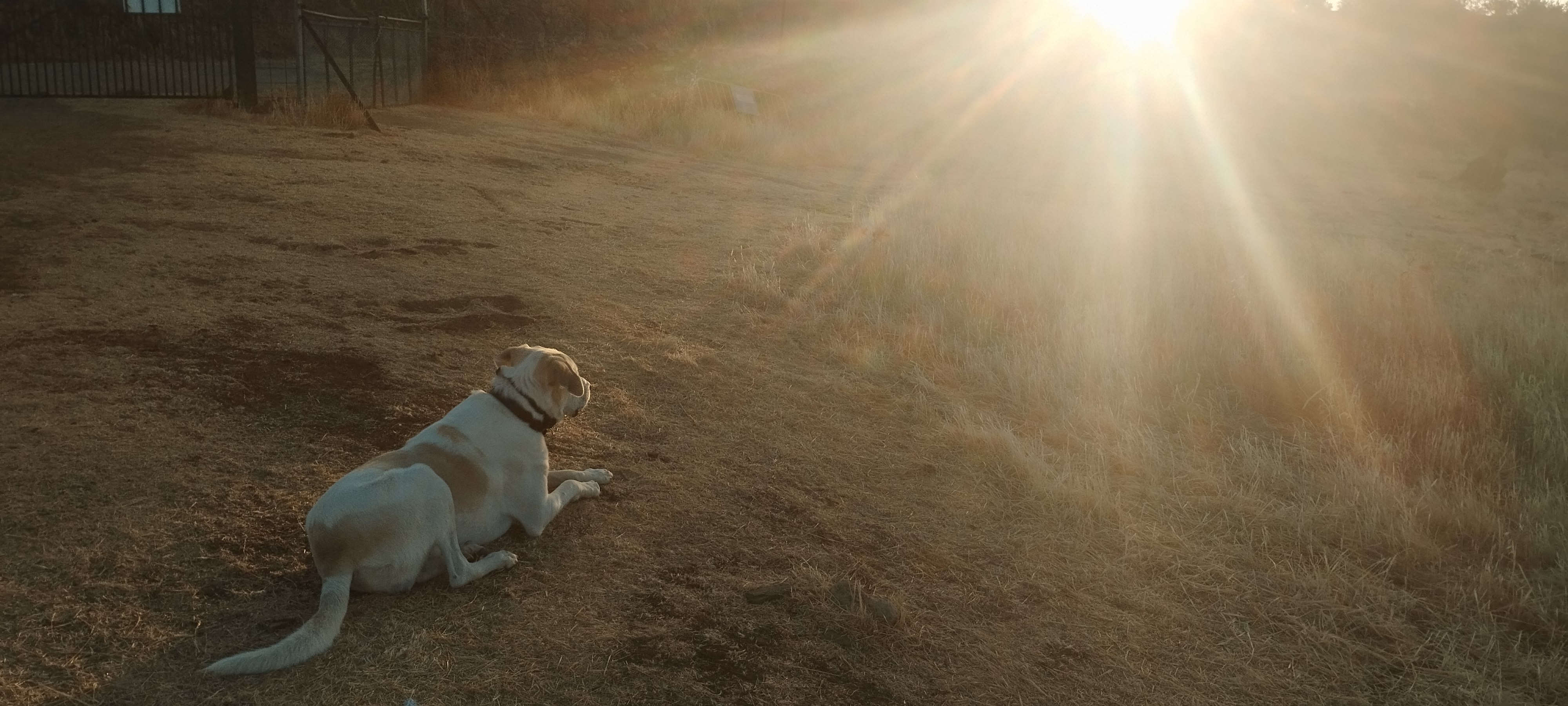 Max viendo amanecer en la Candela.