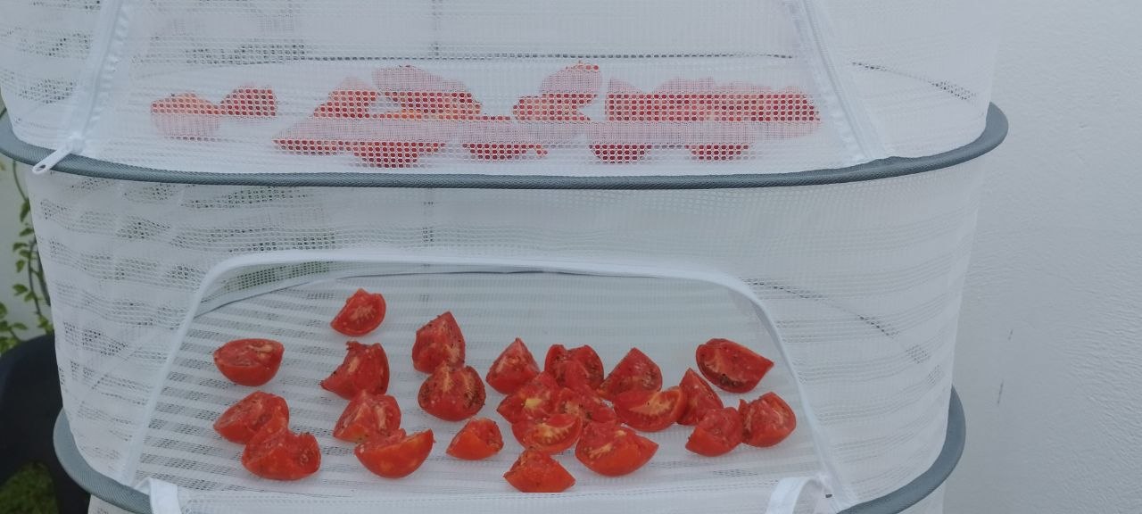 Secadero de tomates casero